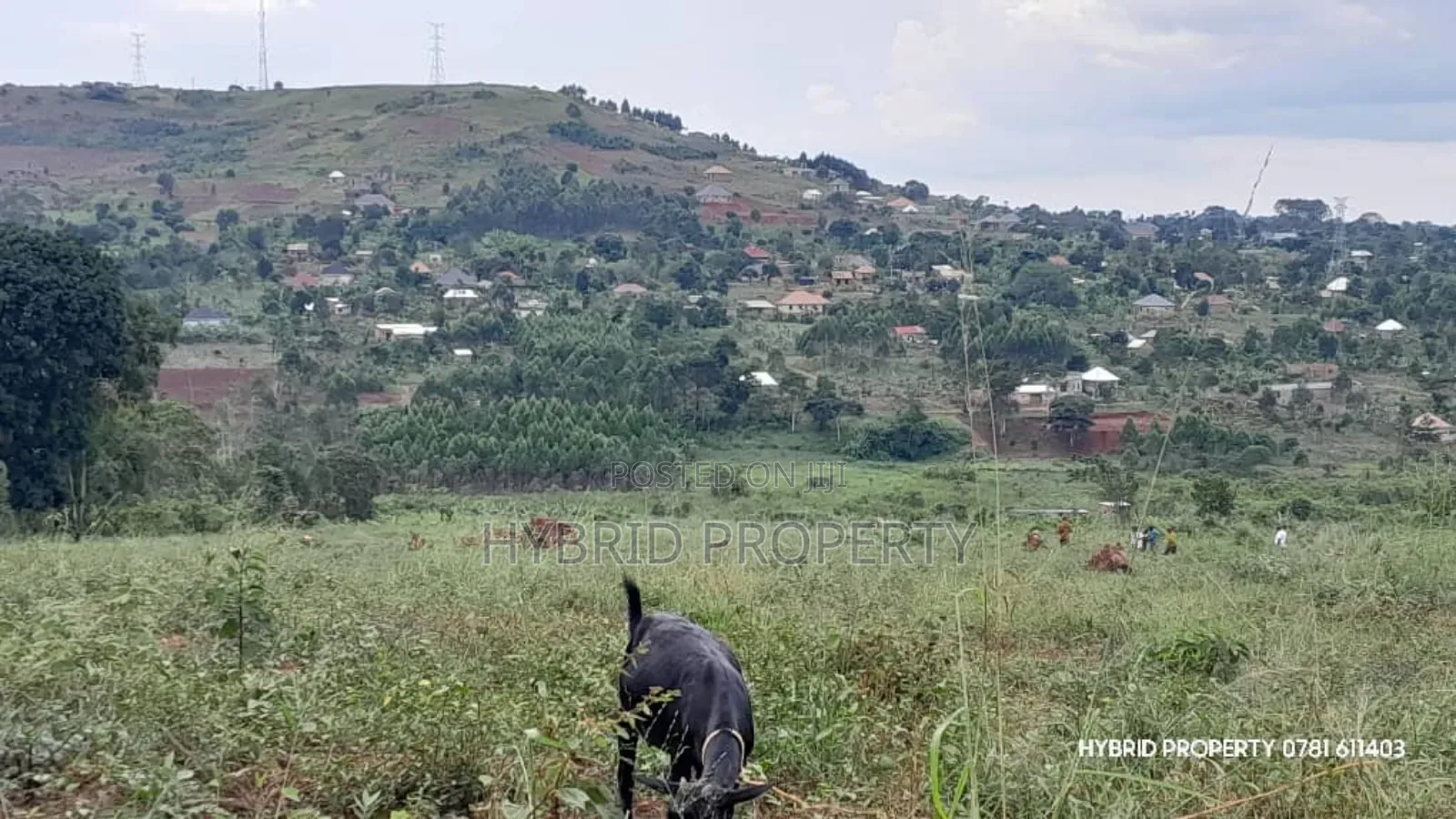 Prime Plots for Sale at Mpigi~Kalagala Land Estates~Masaka Road in Mpigi TC