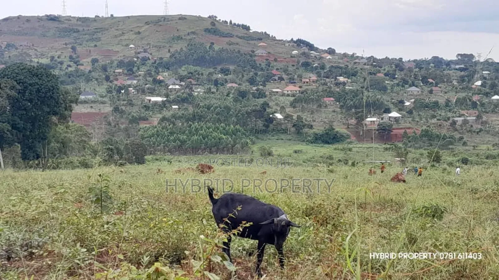 Prime Plots for Sale at Mpigi~Kalagala Land Estates~Masaka Road in Mpigi TC
