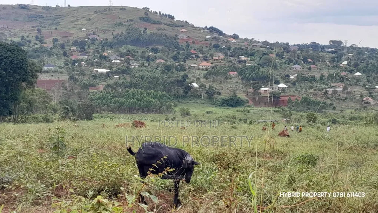 Prime Plots for Sale at Mpigi~Kalagala Land Estates~Masaka Road in Mpigi TC