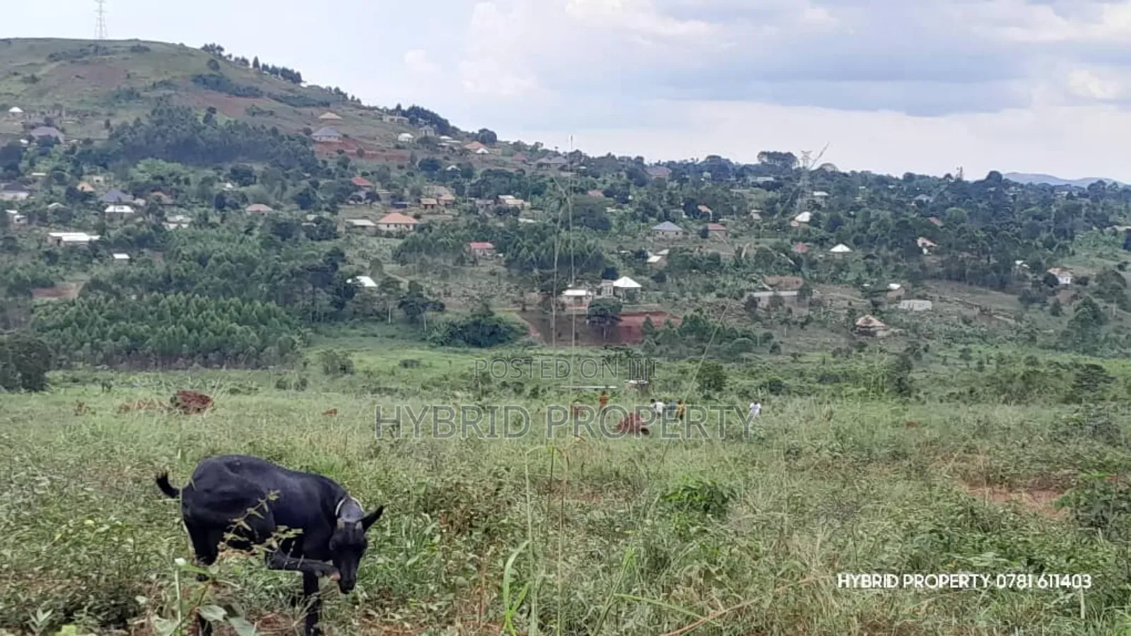 Prime Plots for Sale at Mpigi~Kalagala Land Estates~Masaka Road in Mpigi TC