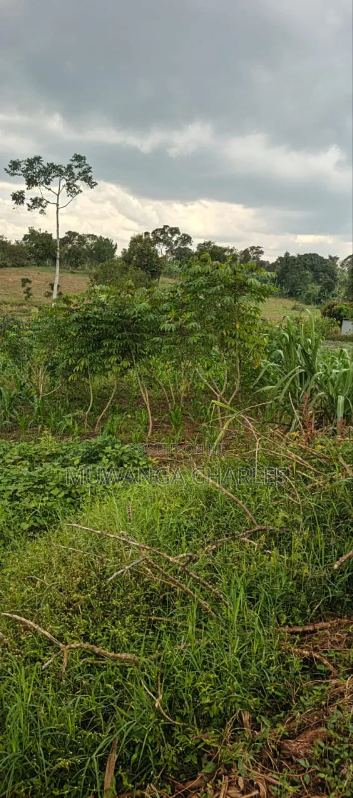 12decimals on Quick Sale in Kabanyolo in Division A