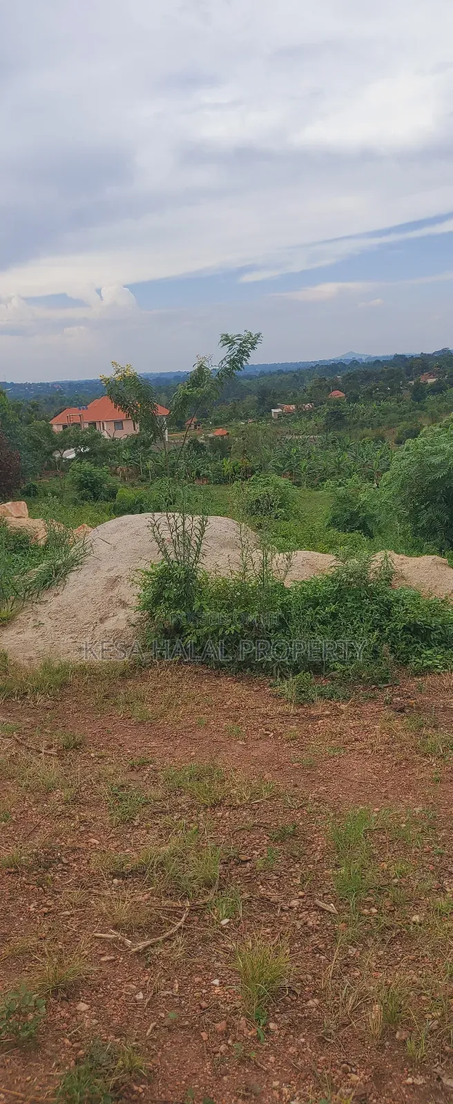 19 Decimals for Sale Before Kalule Town It's Hill With a Good View in Bombo TC