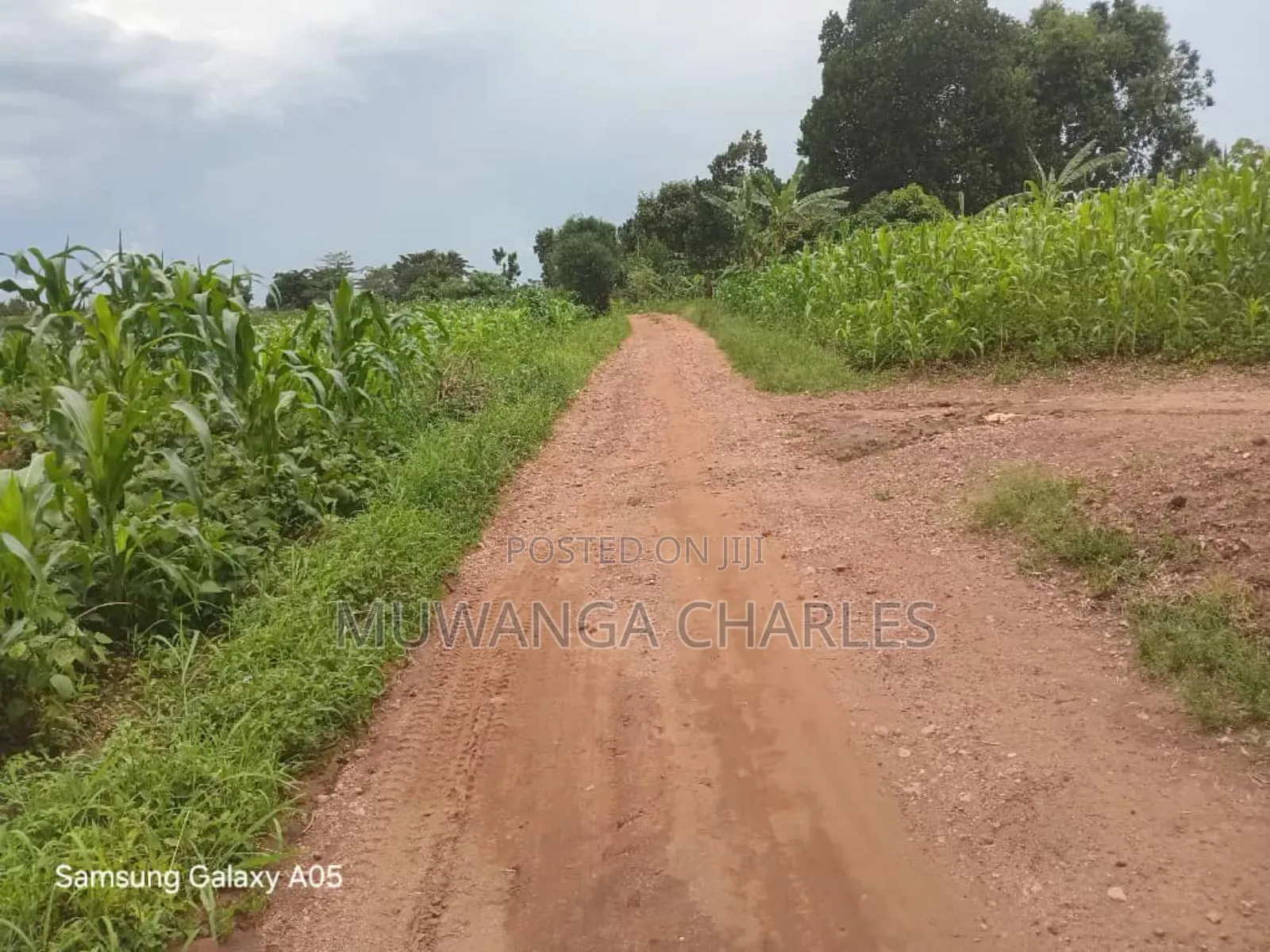 4acres of Land on Quick Sale in Nakasajja in Kyampisi