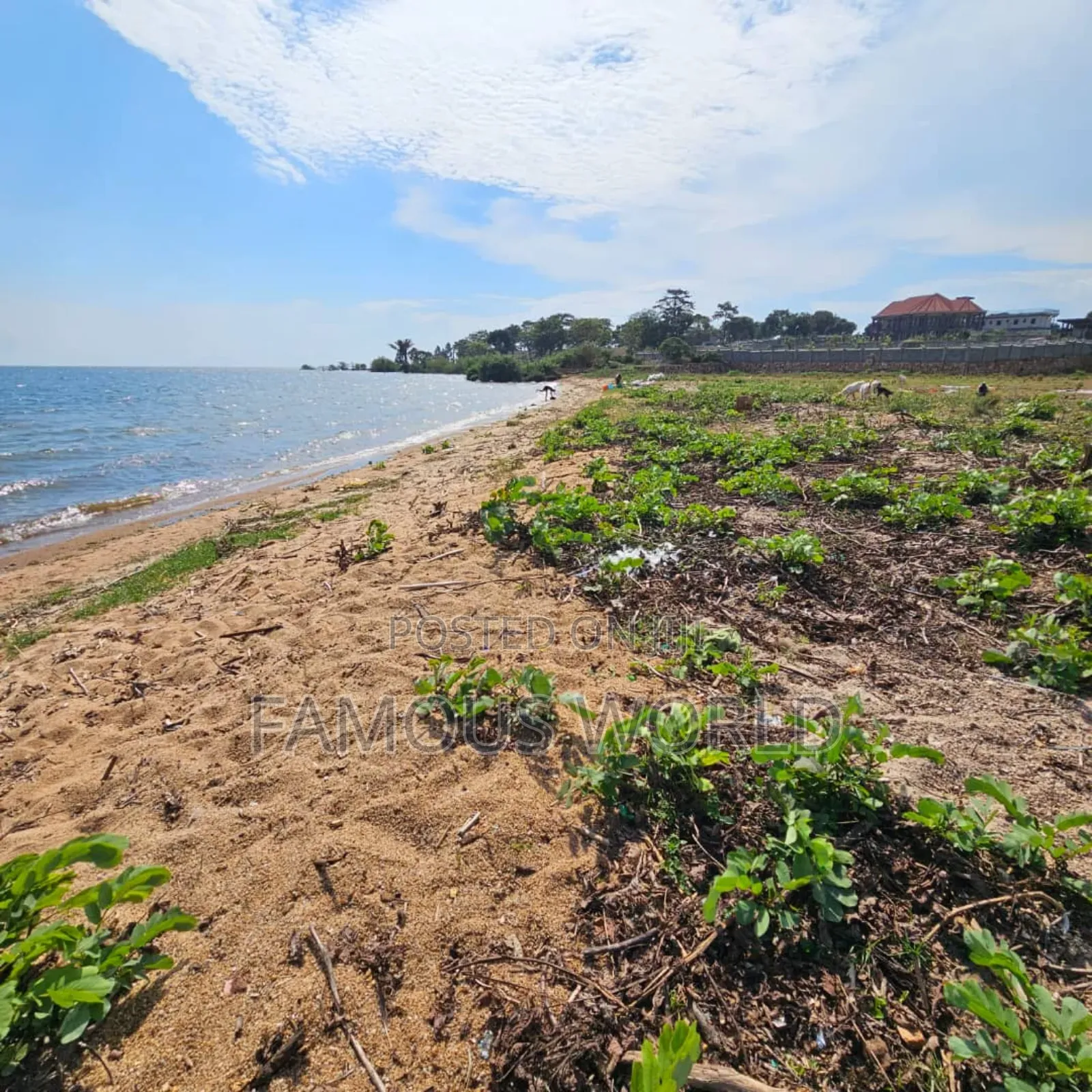 Entebbe Garuga 5 Acres Lake Front Land On Sale in Katabi