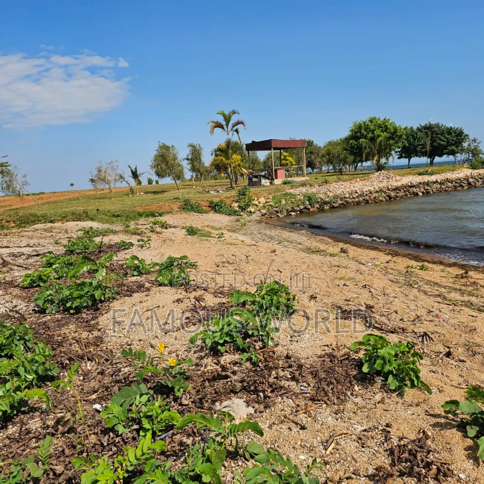 Entebbe Garuga 5 Acres Lake Front Land On Sale in Katabi