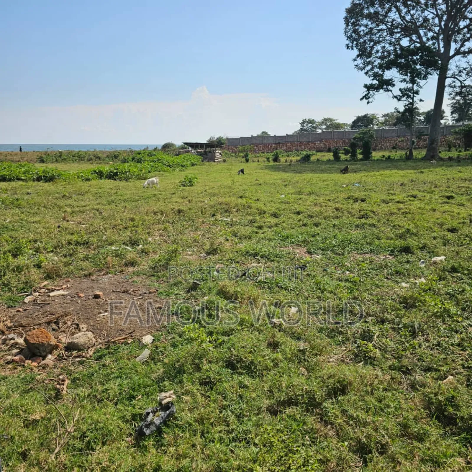 Entebbe Garuga 5 Acres Lake Front Land On Sale in Katabi