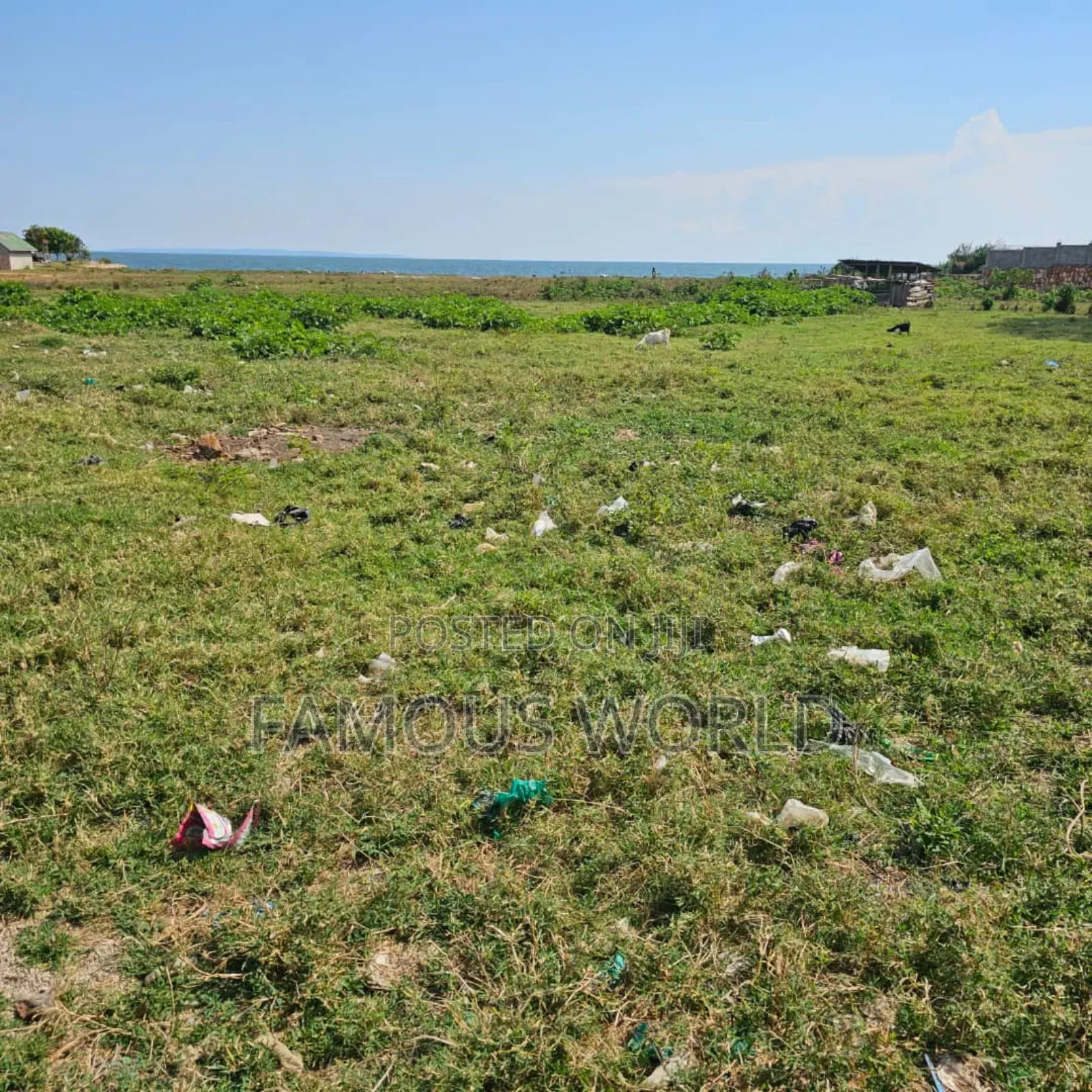 Entebbe Garuga 5 Acres Lake Front Land On Sale in Katabi
