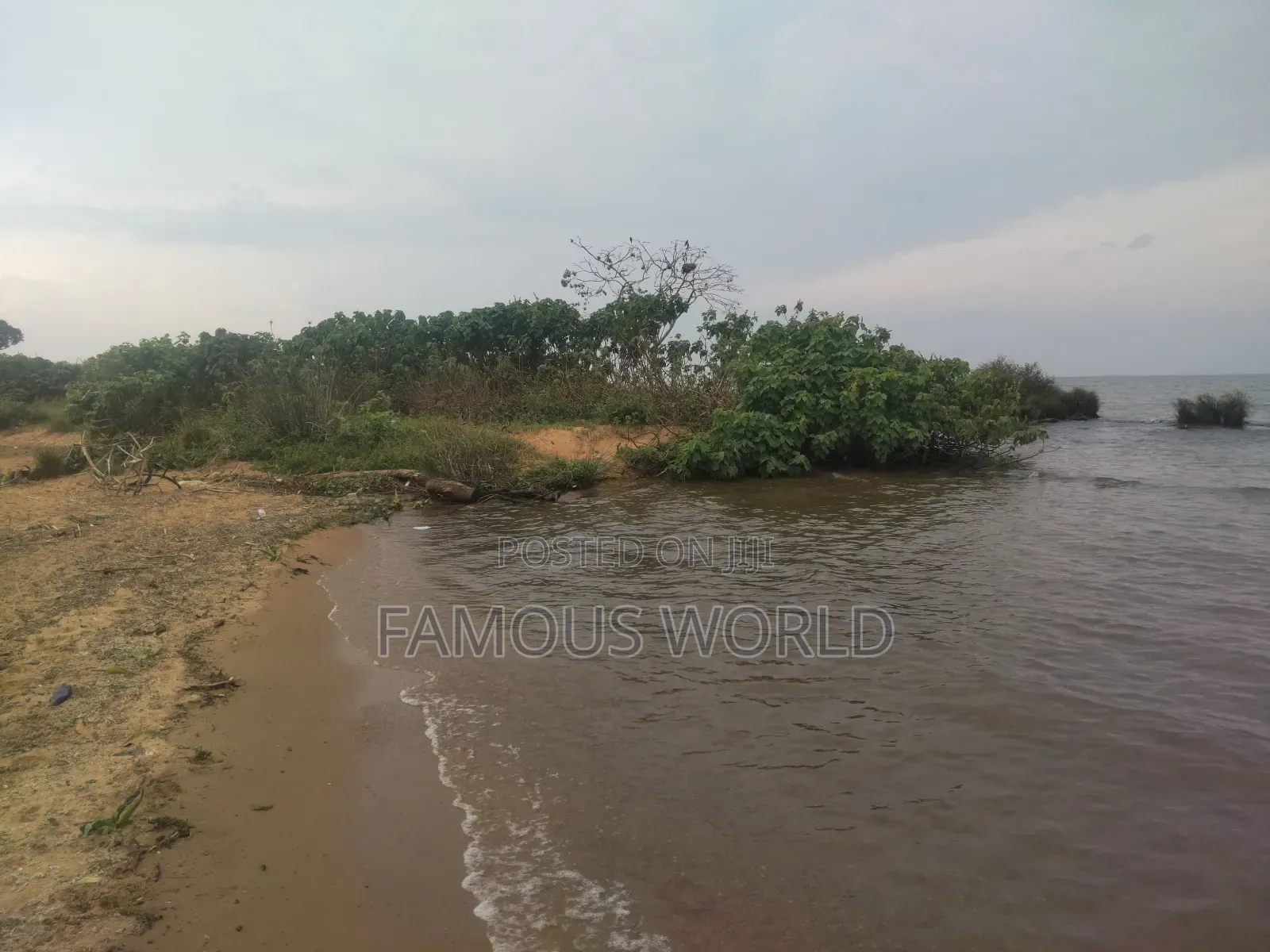 Bussi Island Lake Front Land on Sale in Kasanje