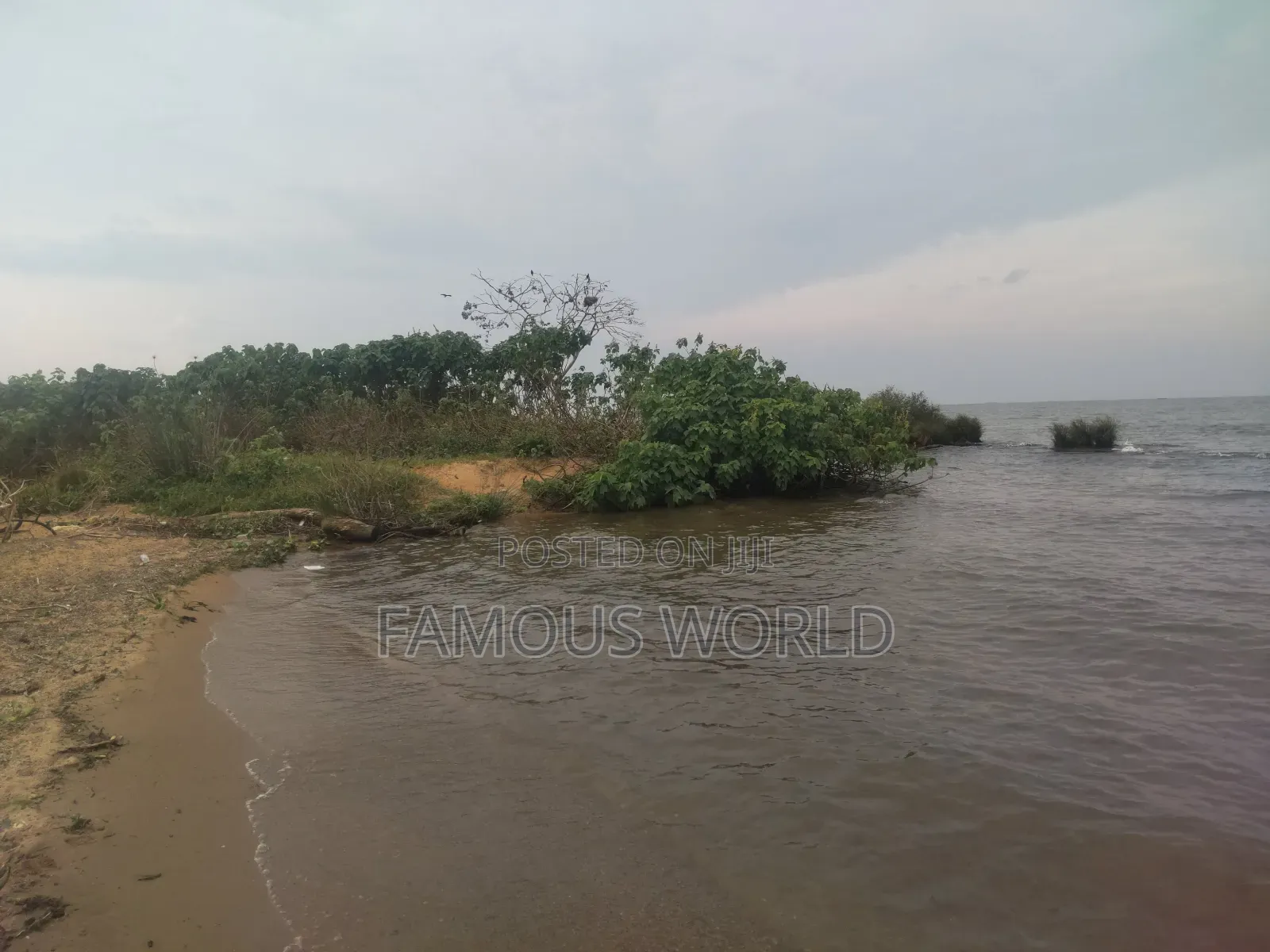 Bussi Island Lake Front Land on Sale in Kasanje