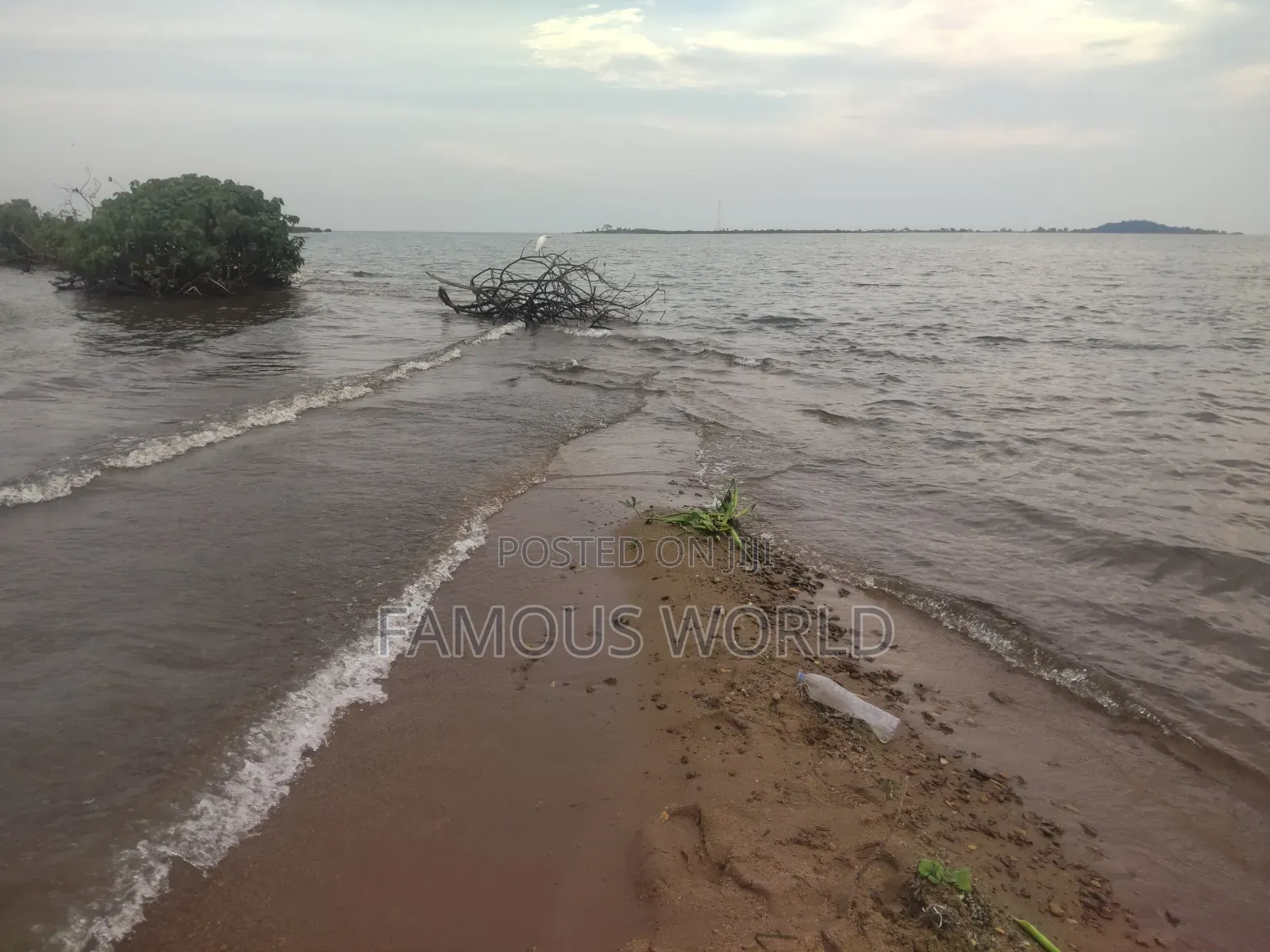 Bussi Island Lake Front Land on Sale in Kasanje