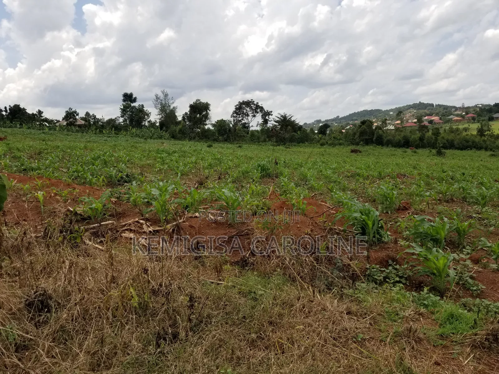 12 Acres for Sale in Wakiso in Wakiso / Wakiso