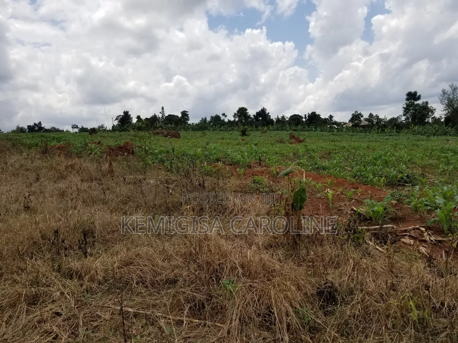 12 Acres for Sale in Wakiso in Wakiso / Wakiso