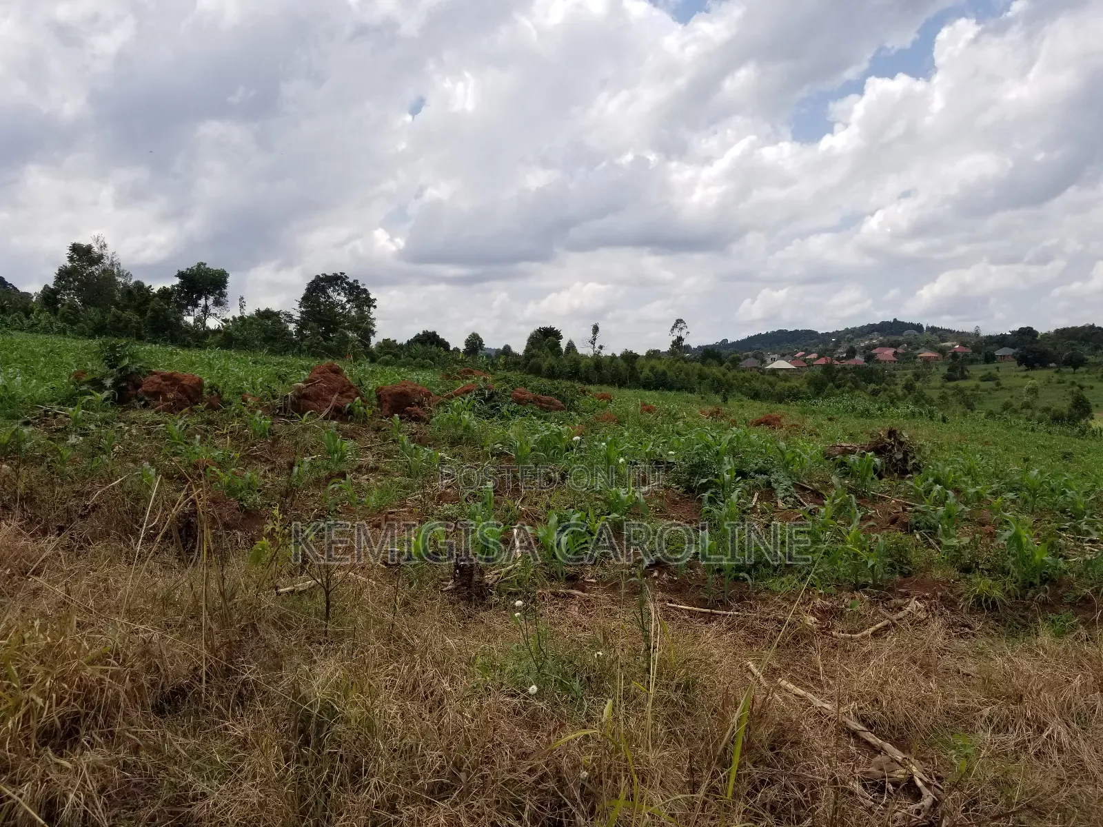 12 Acres for Sale in Wakiso in Wakiso / Wakiso