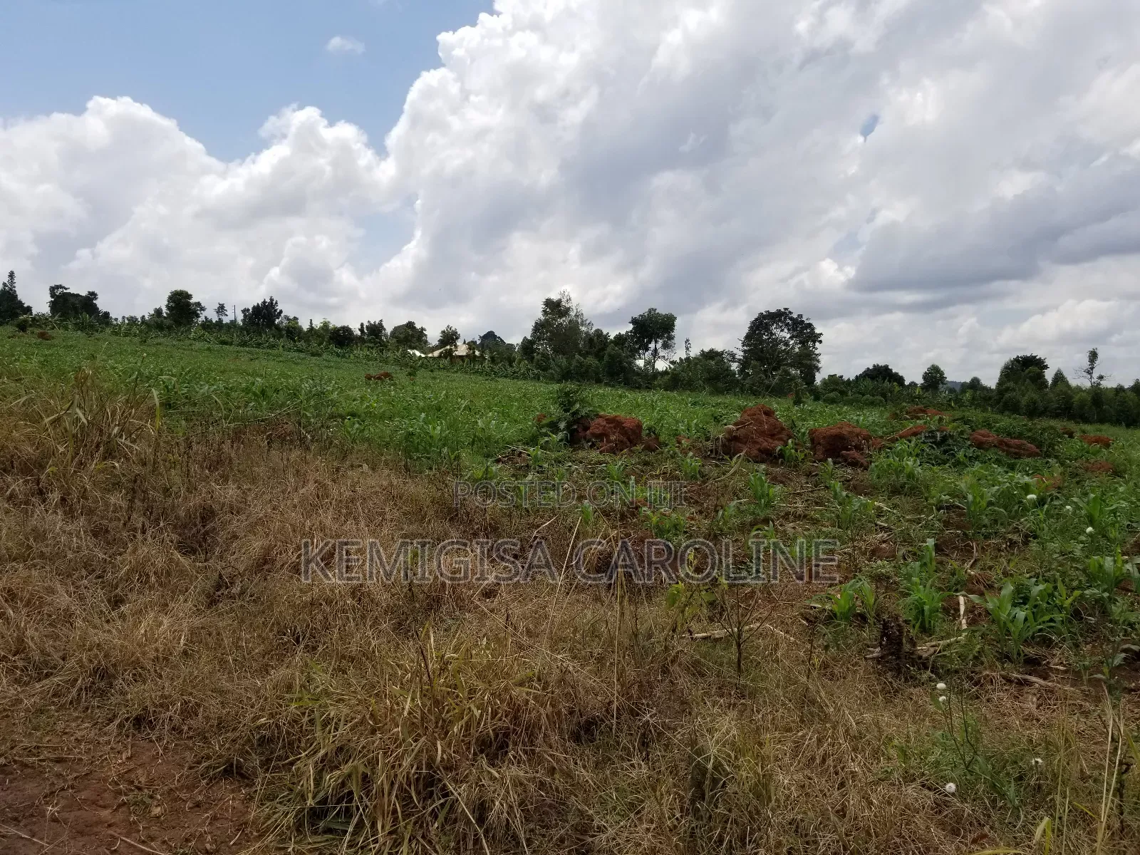 12 Acres for Sale in Wakiso in Wakiso / Wakiso