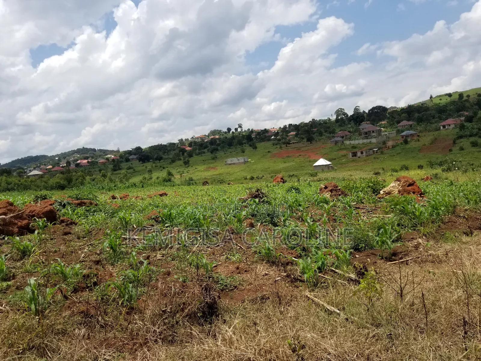 12 Acres for Sale in Wakiso in Wakiso / Wakiso