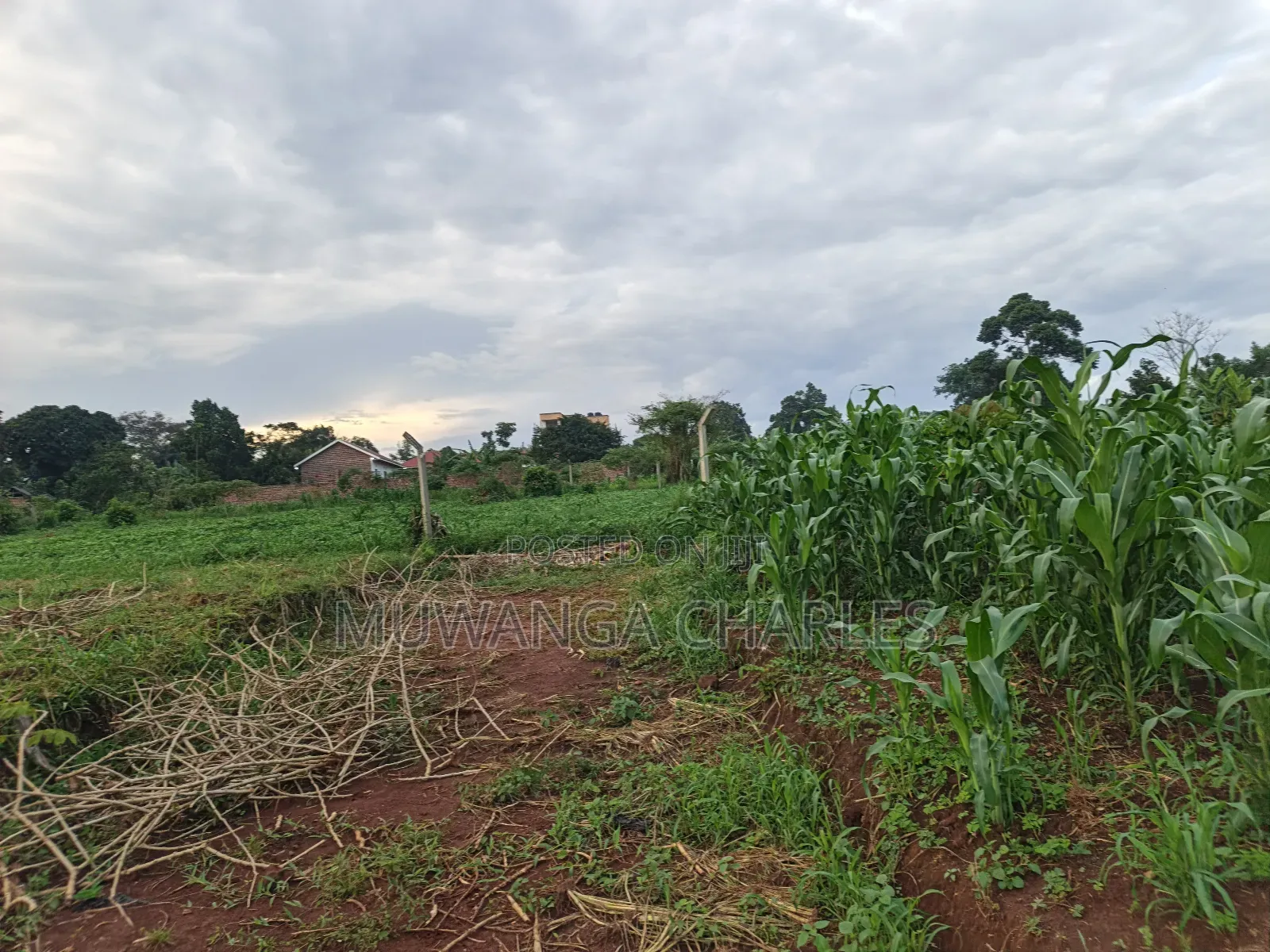 100by50ft on Quick Sale in Gayaza 2 in Division B