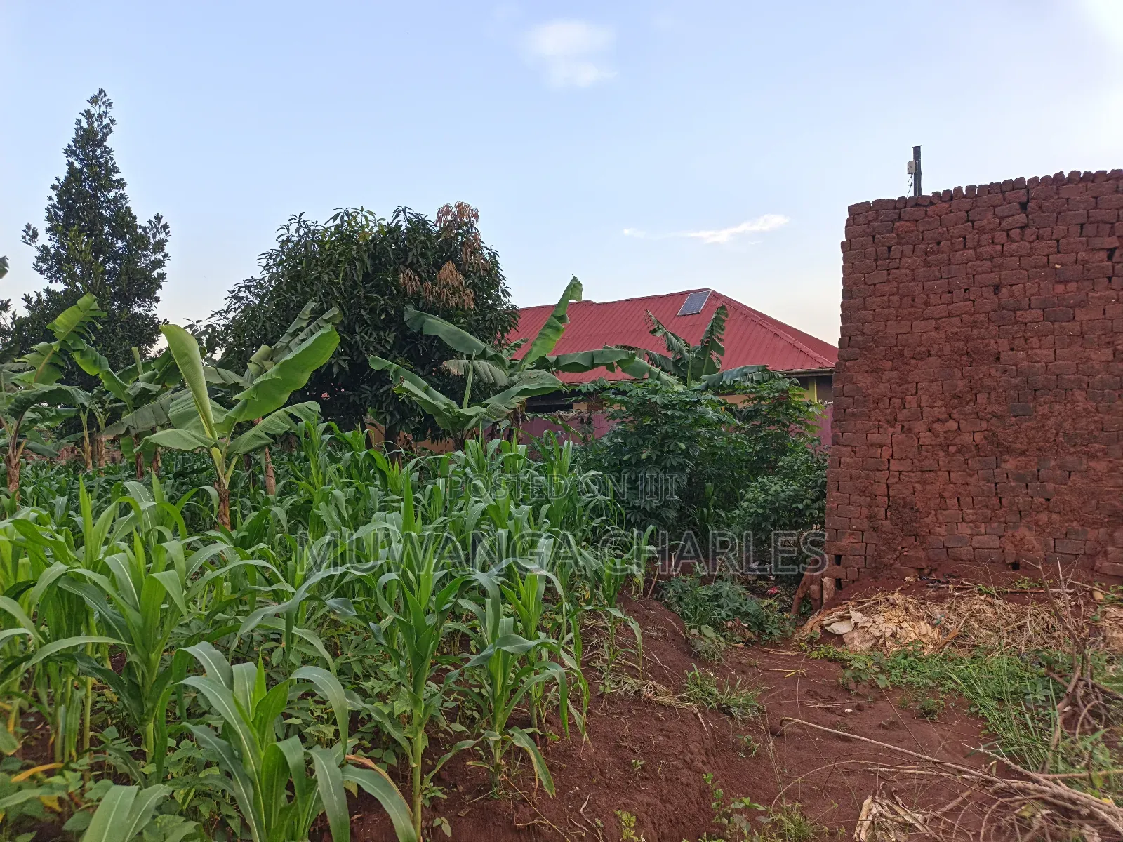 100by50ft on Quick Sale in Gayaza 2 in Division B