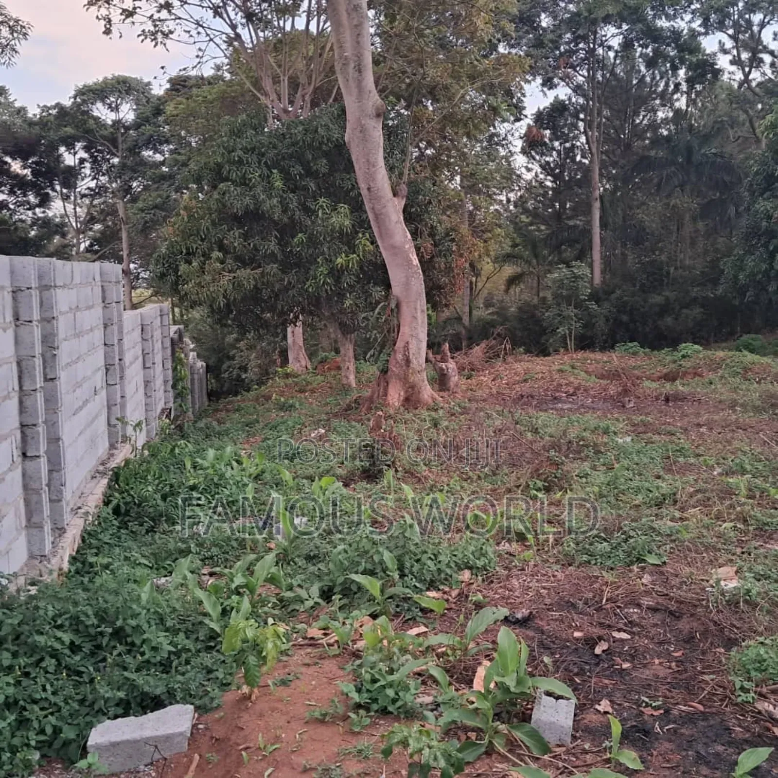 Land on Sale in Bwerenga Next to Brother Ronnie's Church in Katabi