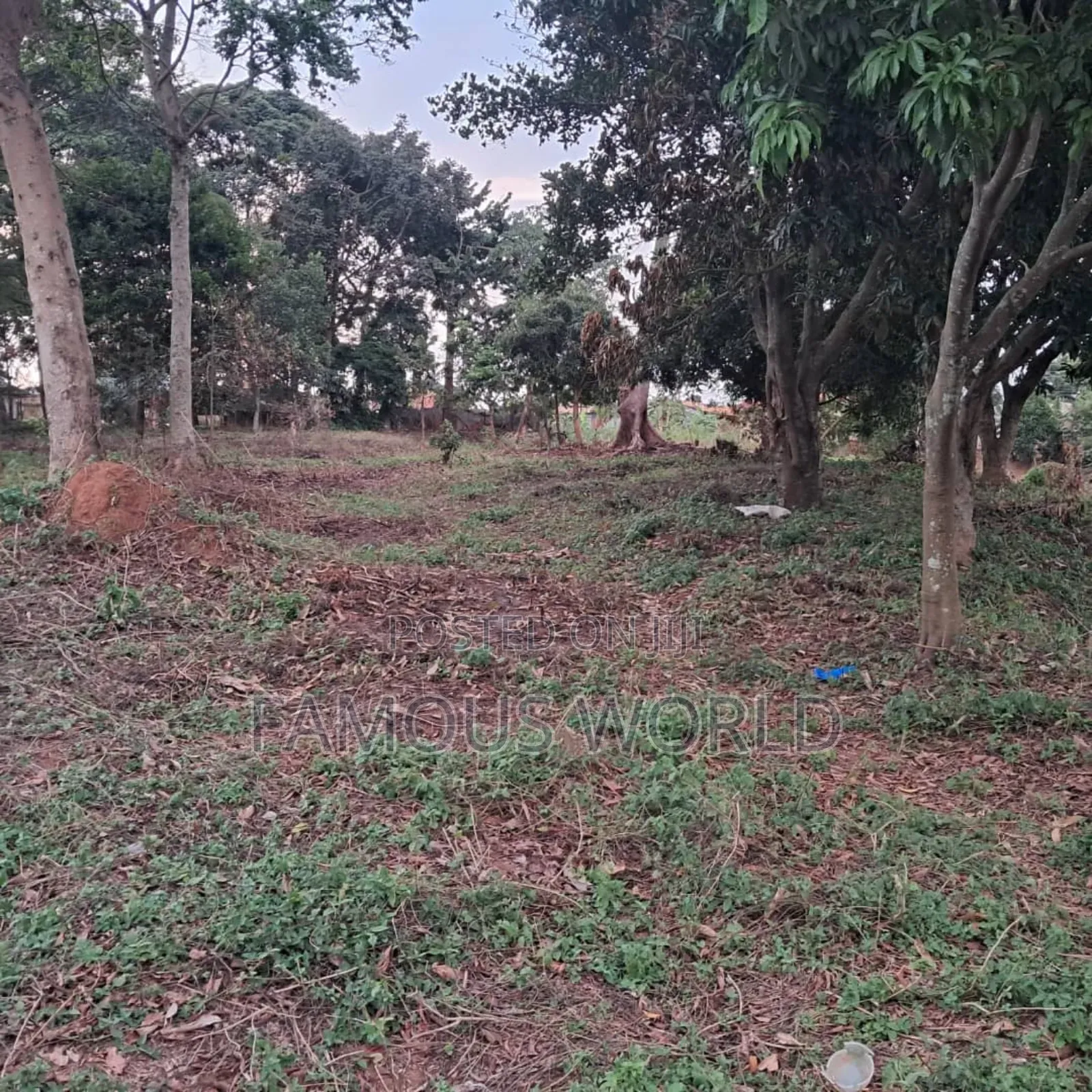 Land on Sale in Bwerenga Next to Brother Ronnie's Church in Katabi