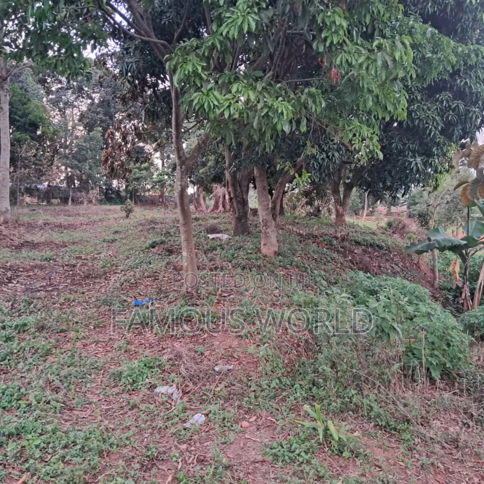 Land on Sale in Bwerenga Next to Brother Ronnie's Church in Katabi
