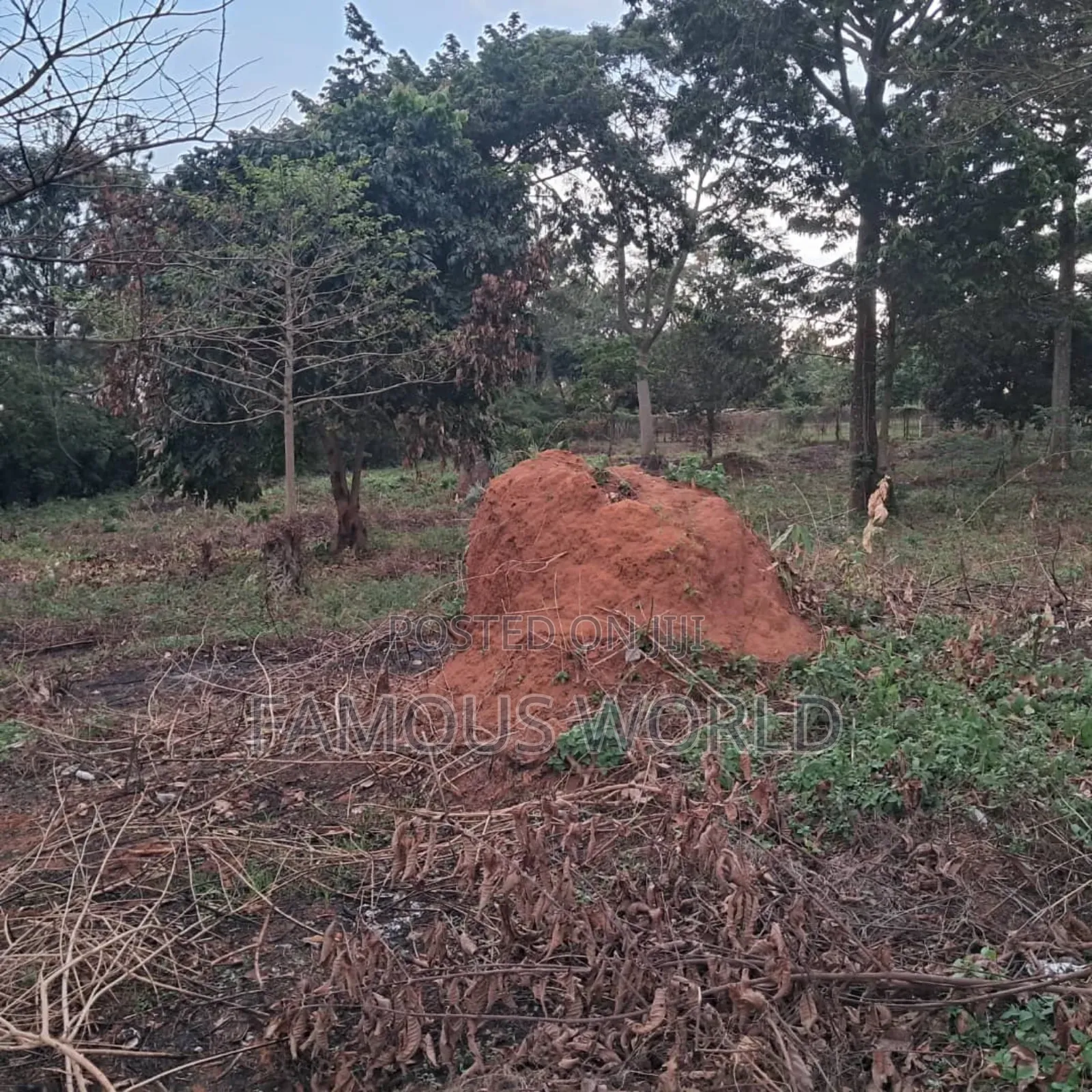Land on Sale in Bwerenga Next to Brother Ronnie's Church in Katabi
