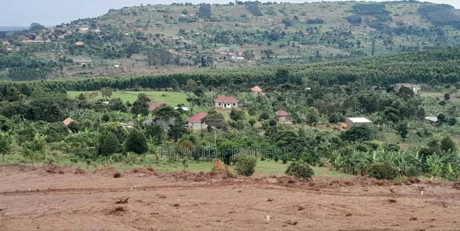 Prime Plots For Sale At Katende Diplomatic Hill View Estate~Masaka Rd in Kiringente