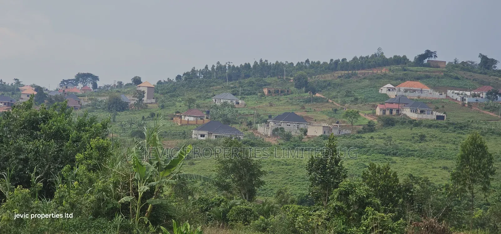 Plots for Sale at Namusera Mabombwe in Wakiso / Wakiso