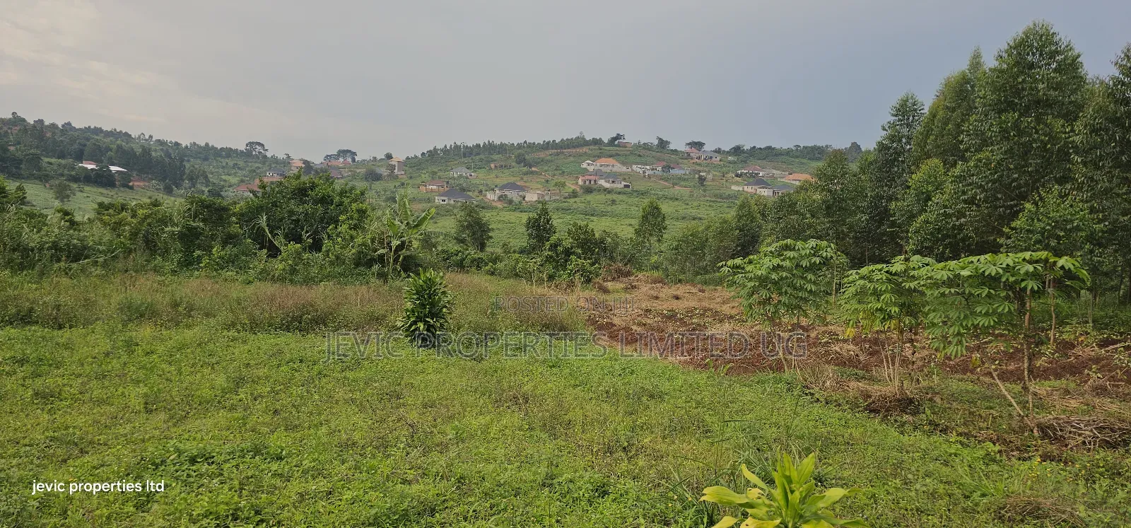 Plots for Sale at Namusera Mabombwe in Wakiso / Wakiso
