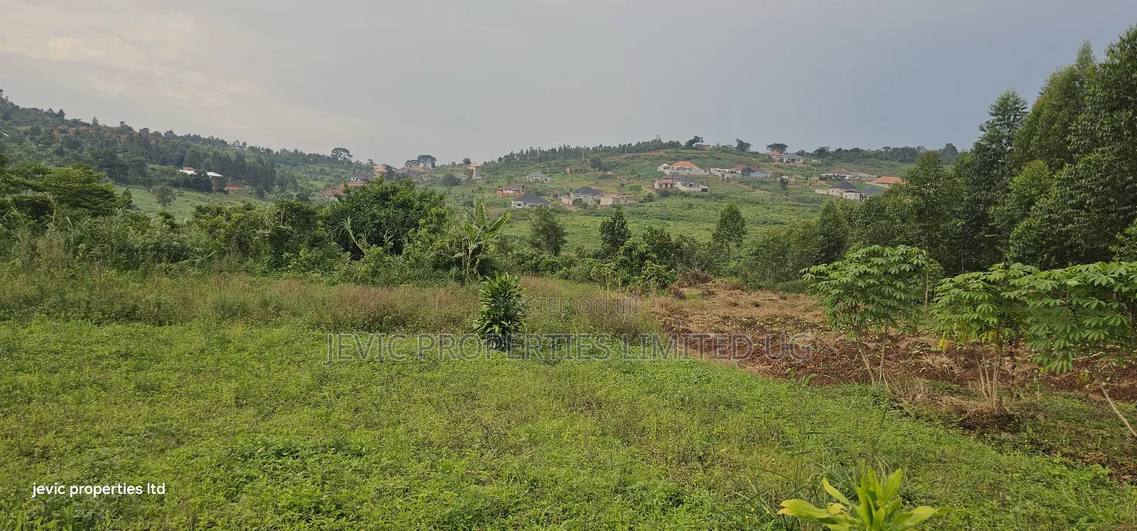 Plots for Sale at Namusera Mabombwe in Wakiso / Wakiso