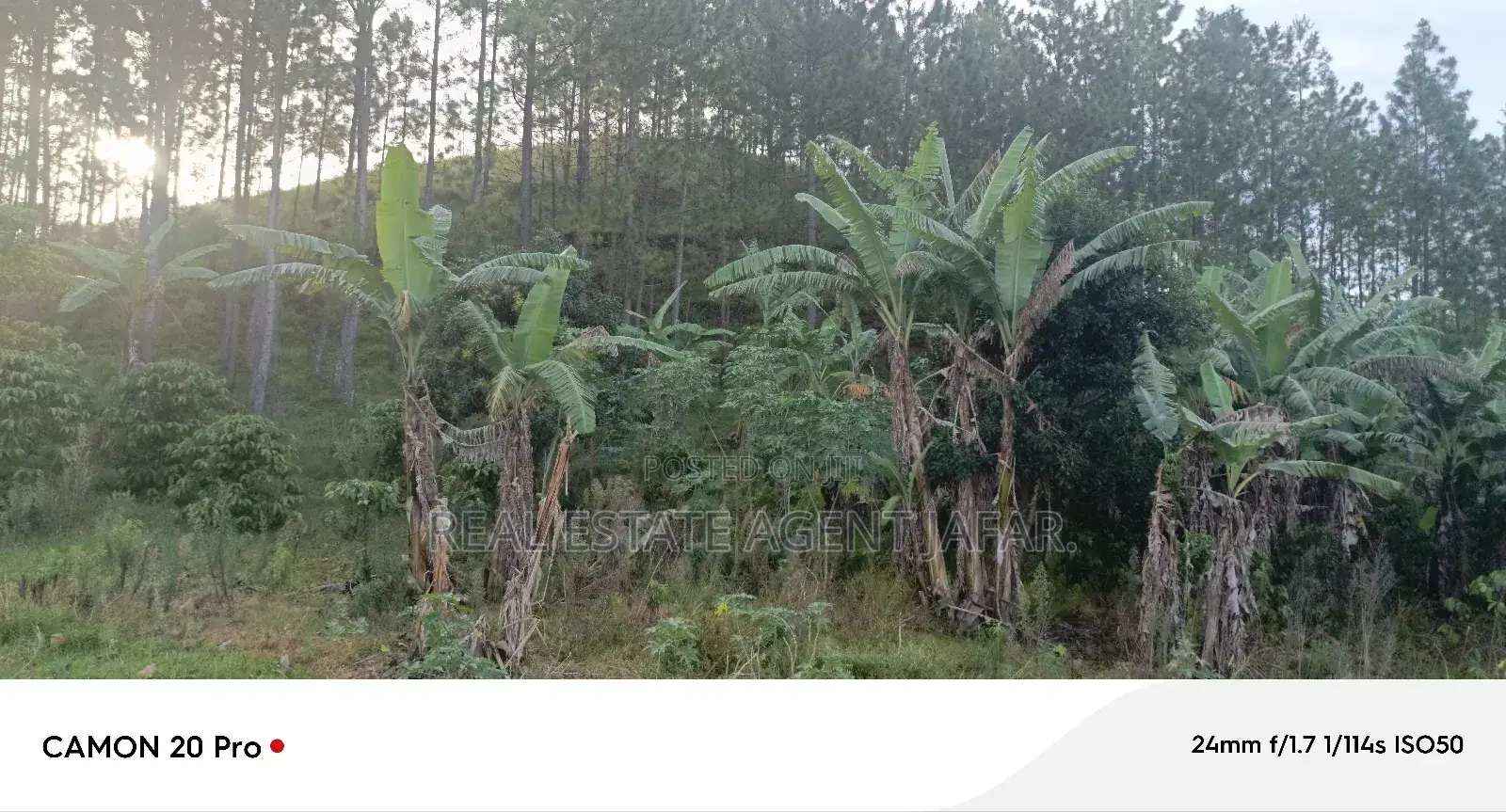 8.5 Acres Of Freehold Titled Land Sale In Fort Portal. in Kabalore