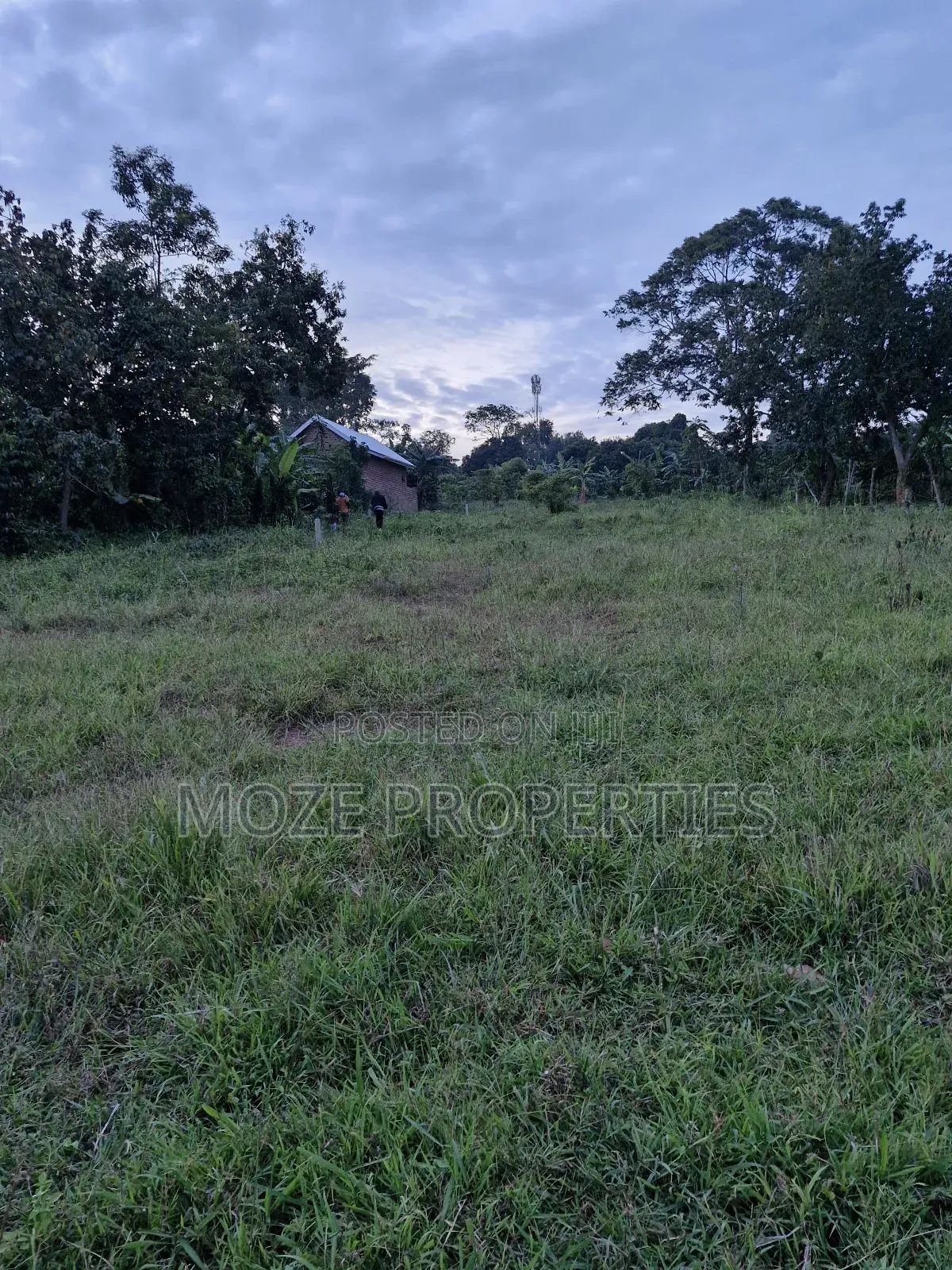 Gayaza Manyanga, New Estate 50x100 Plots for Sale in Central Division