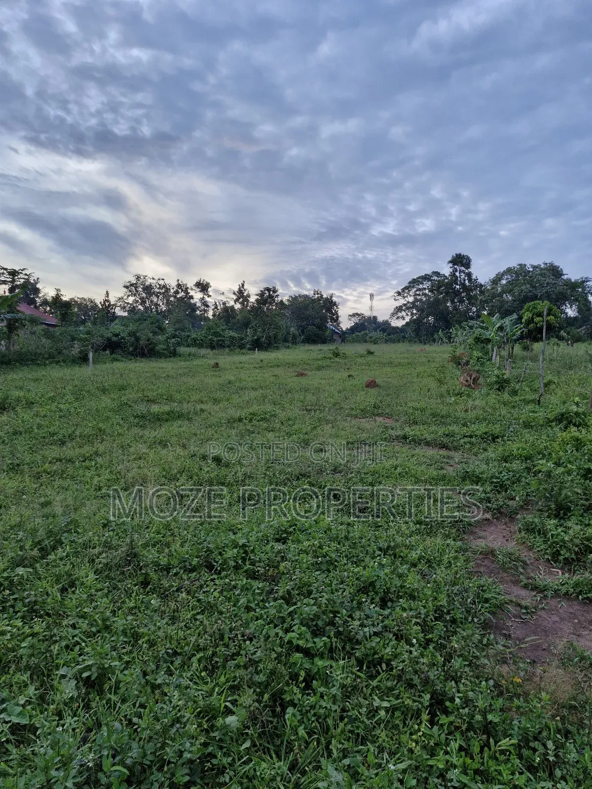 Gayaza Manyanga, New Estate 50x100 Plots for Sale in Central Division