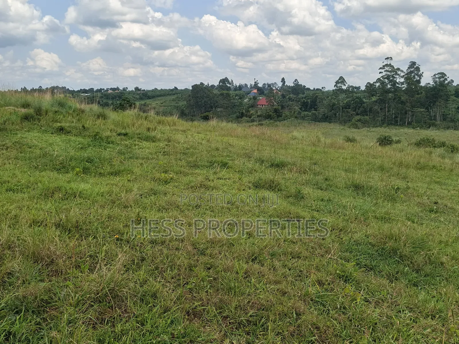 Commercial Land on Sale in Kyenjojo