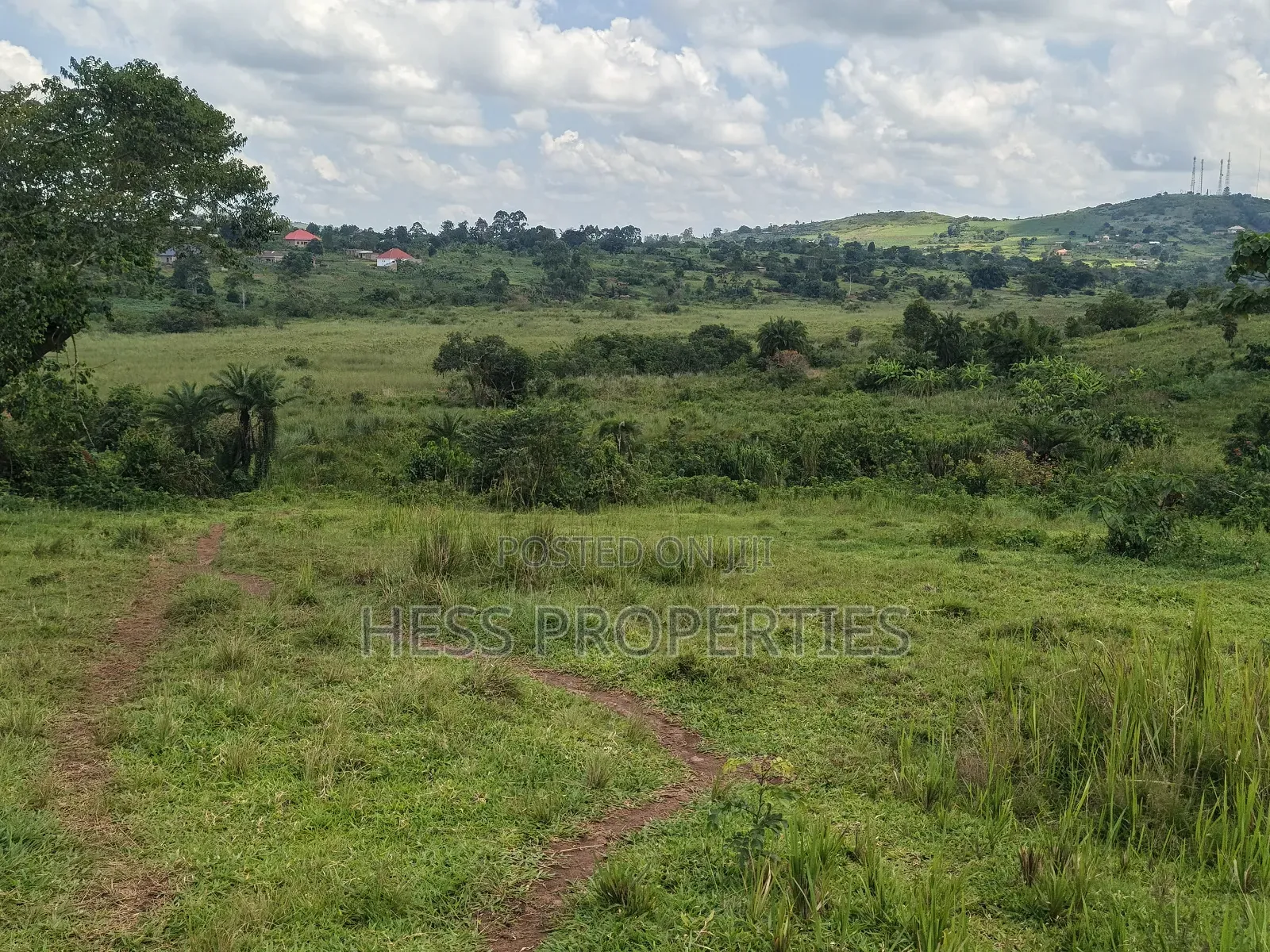 Commercial Land on Sale in Kyenjojo