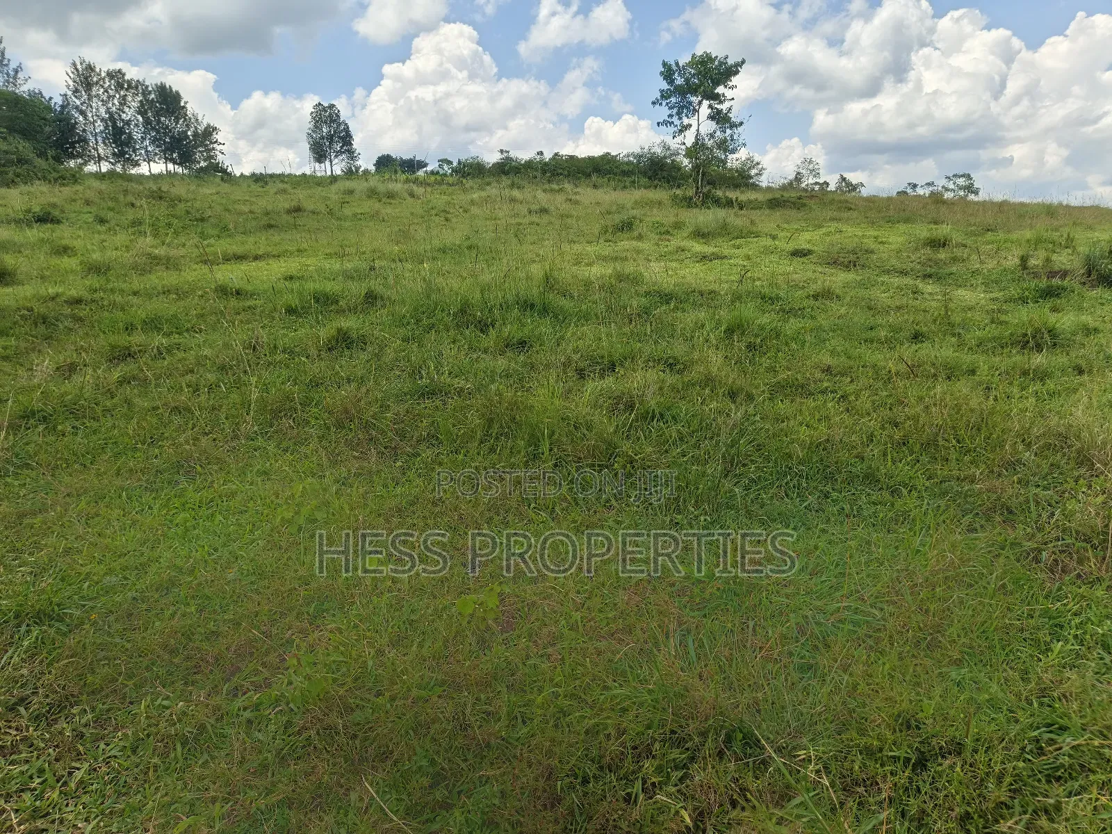 Commercial Land on Sale in Kyenjojo