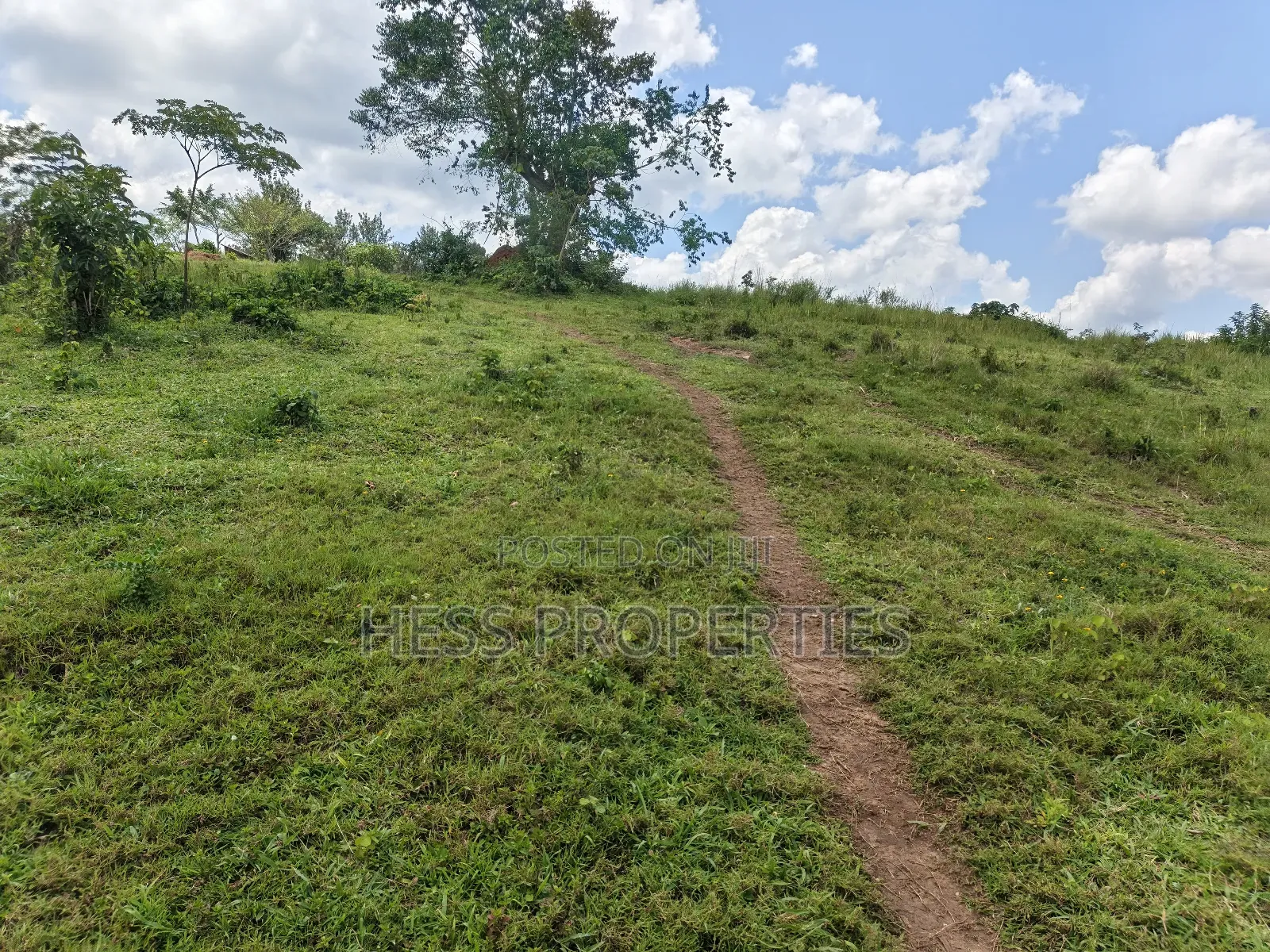Commercial Land on Sale in Kyenjojo