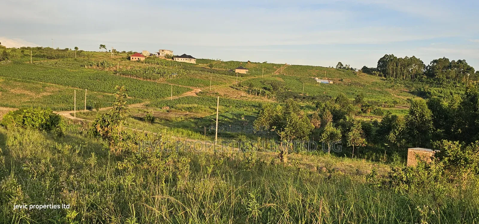 Affordable Titled Plots for Sale at Gobero Town Estate in Wakiso / Wakiso