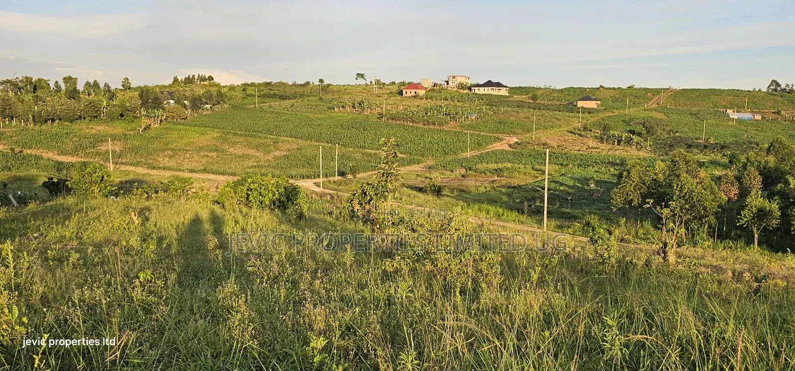 Affordable Titled Plots for Sale at Gobero Town Estate in Wakiso / Wakiso