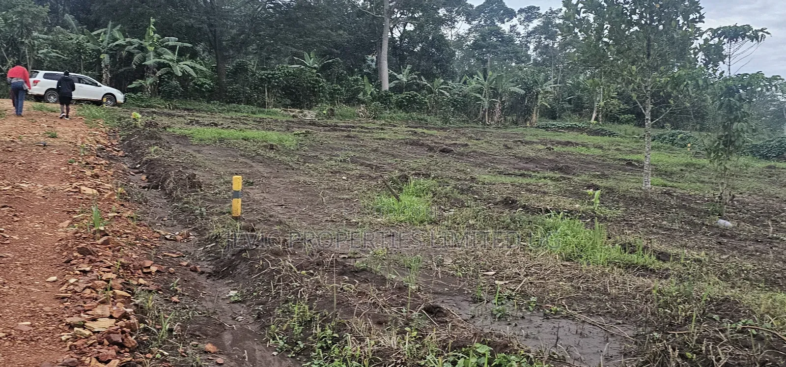 Quick Plots On Sale At Namayumba Along Hoima Road in Wakiso / Wakiso