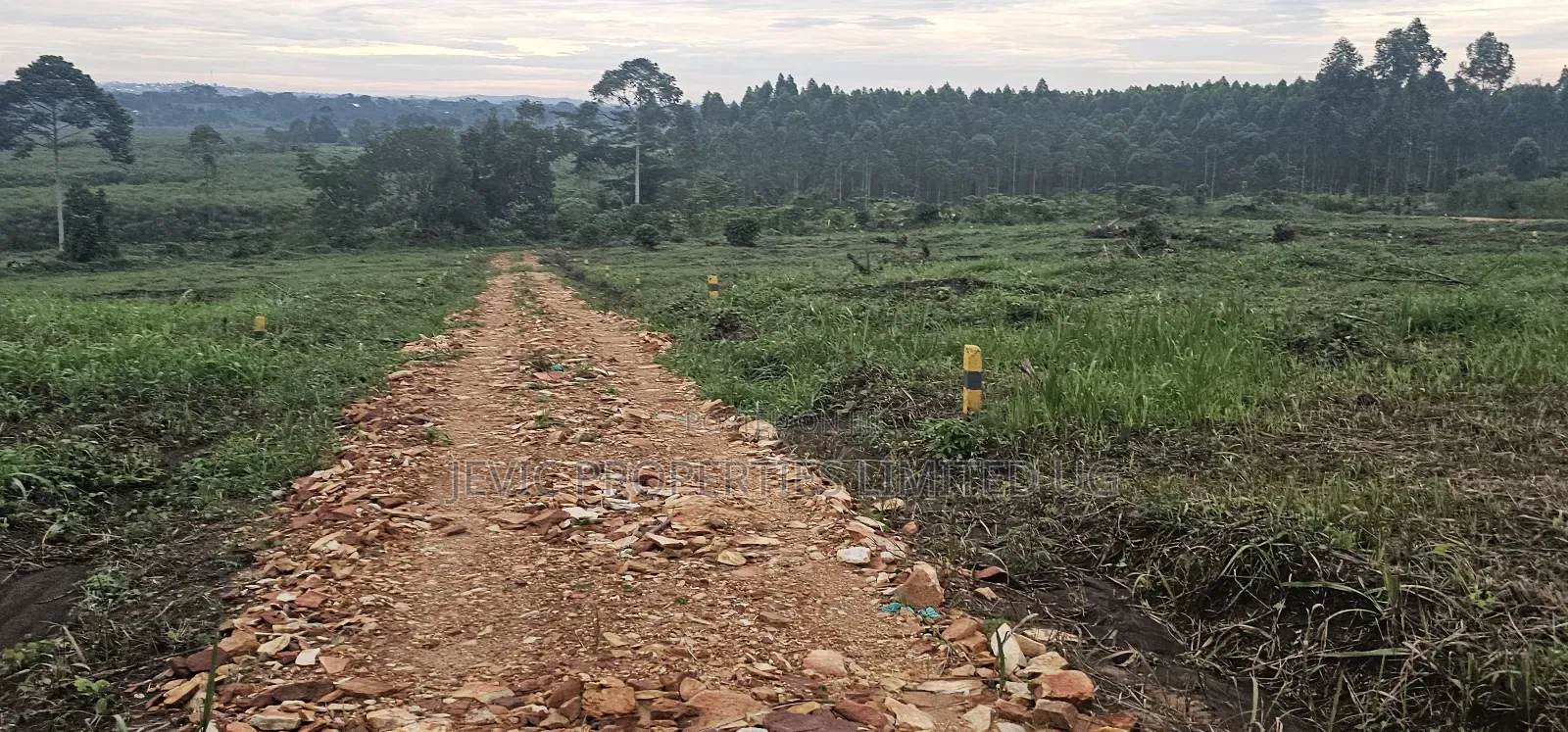 Quick Plots On Sale At Namayumba Along Hoima Road in Wakiso / Wakiso