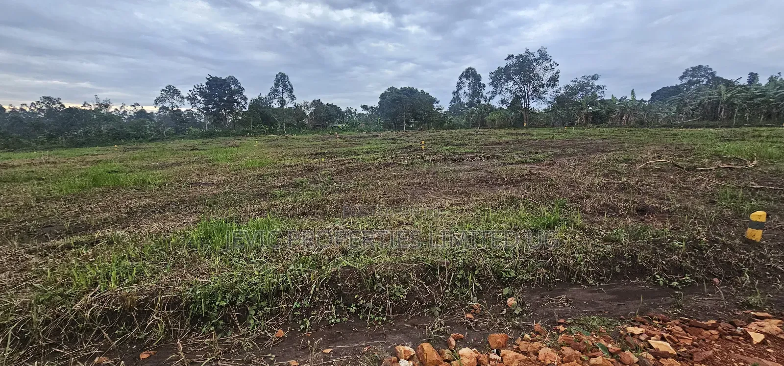 Looking for Affordable Plots, Say No More, We Have Them in Namayumba in Wakiso / Wakiso
