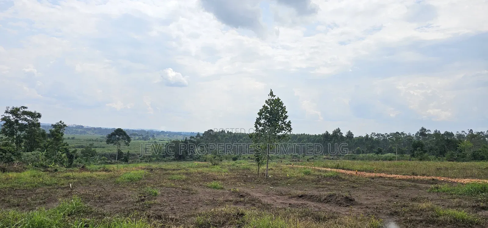 Looking for Affordable Plots, Say No More, We Have Them in Namayumba in Wakiso / Wakiso