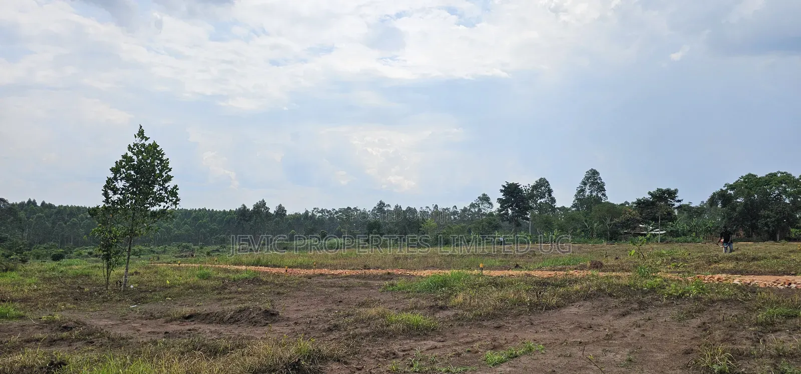 Looking for Affordable Plots, Say No More, We Have Them in Namayumba in Wakiso / Wakiso