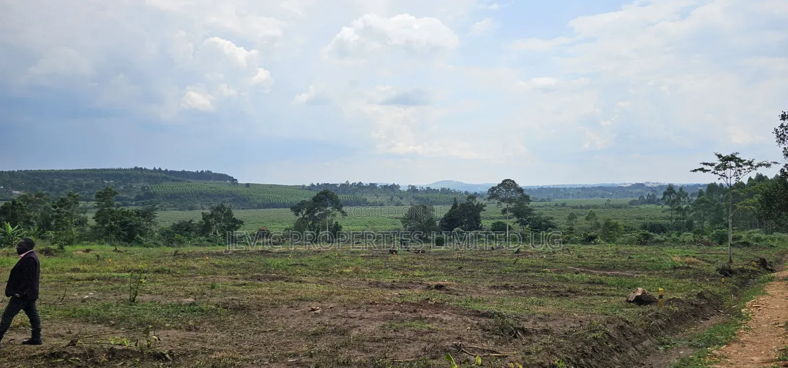 Looking for Affordable Plots, Say No More, We Have Them in Namayumba in Wakiso / Wakiso