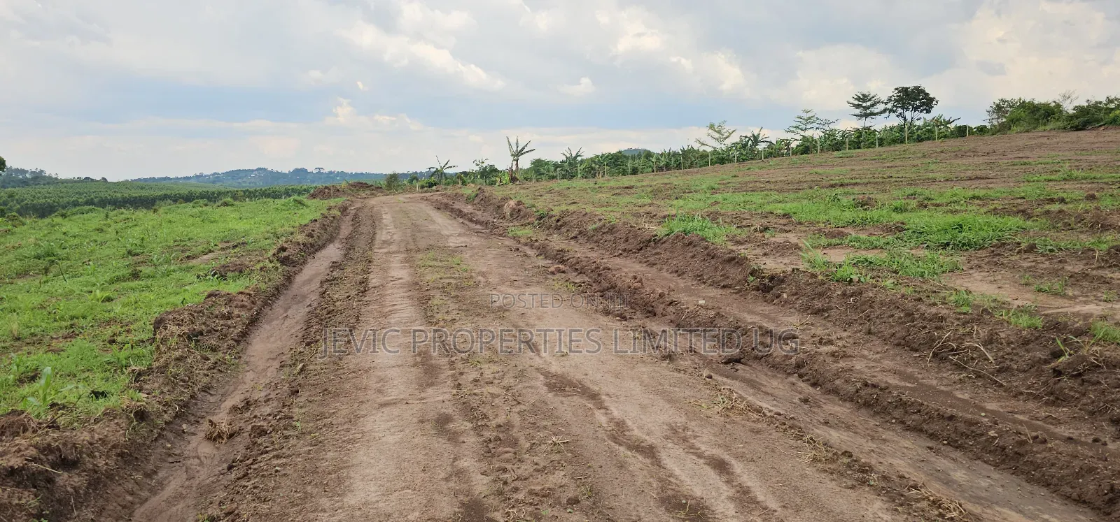 Own a Plot Today at Kakiri Kikugi in Wakiso / Wakiso