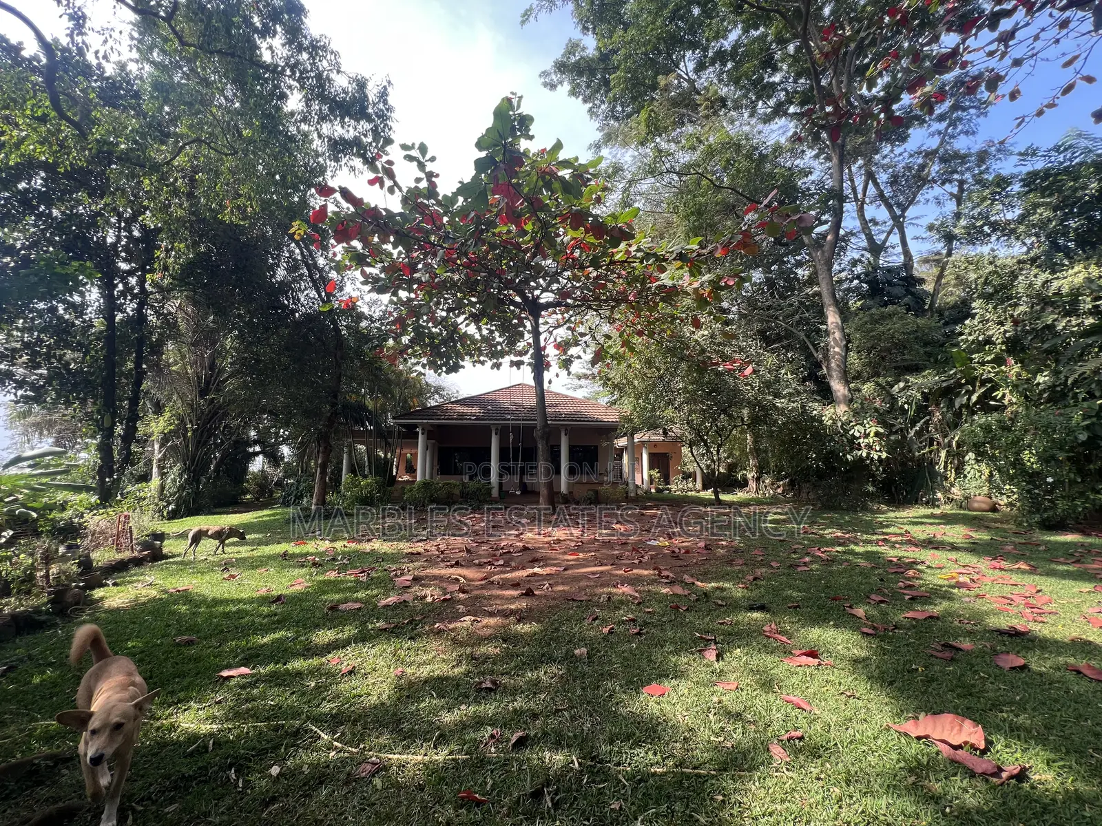 8bdrm House in Mbuya, Central Division for rent in Central Division