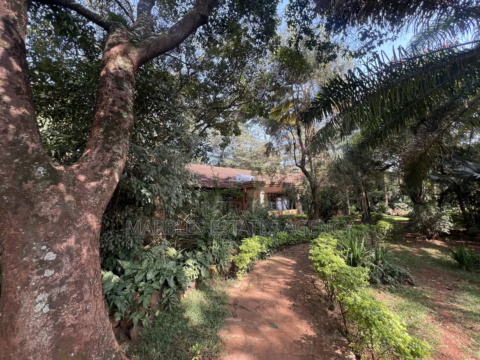 8bdrm House in Mbuya, Central Division for rent in Central Division