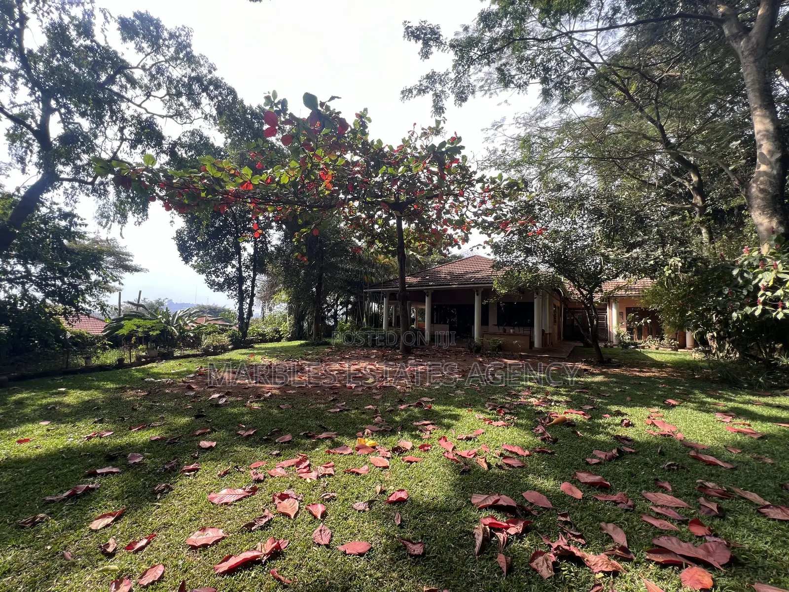8bdrm House in Mbuya, Central Division for rent in Central Division