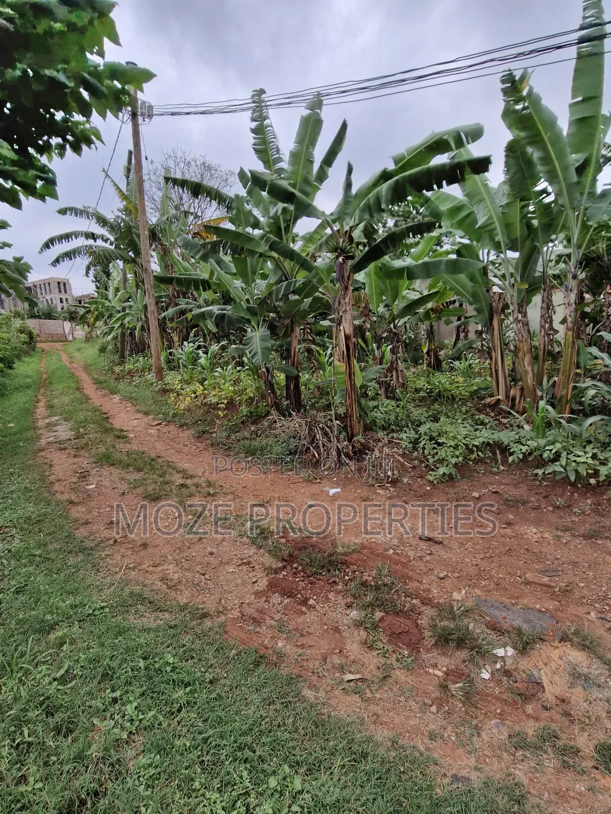 Sonde Hill View 50x70 Plot for Sale in Central Division