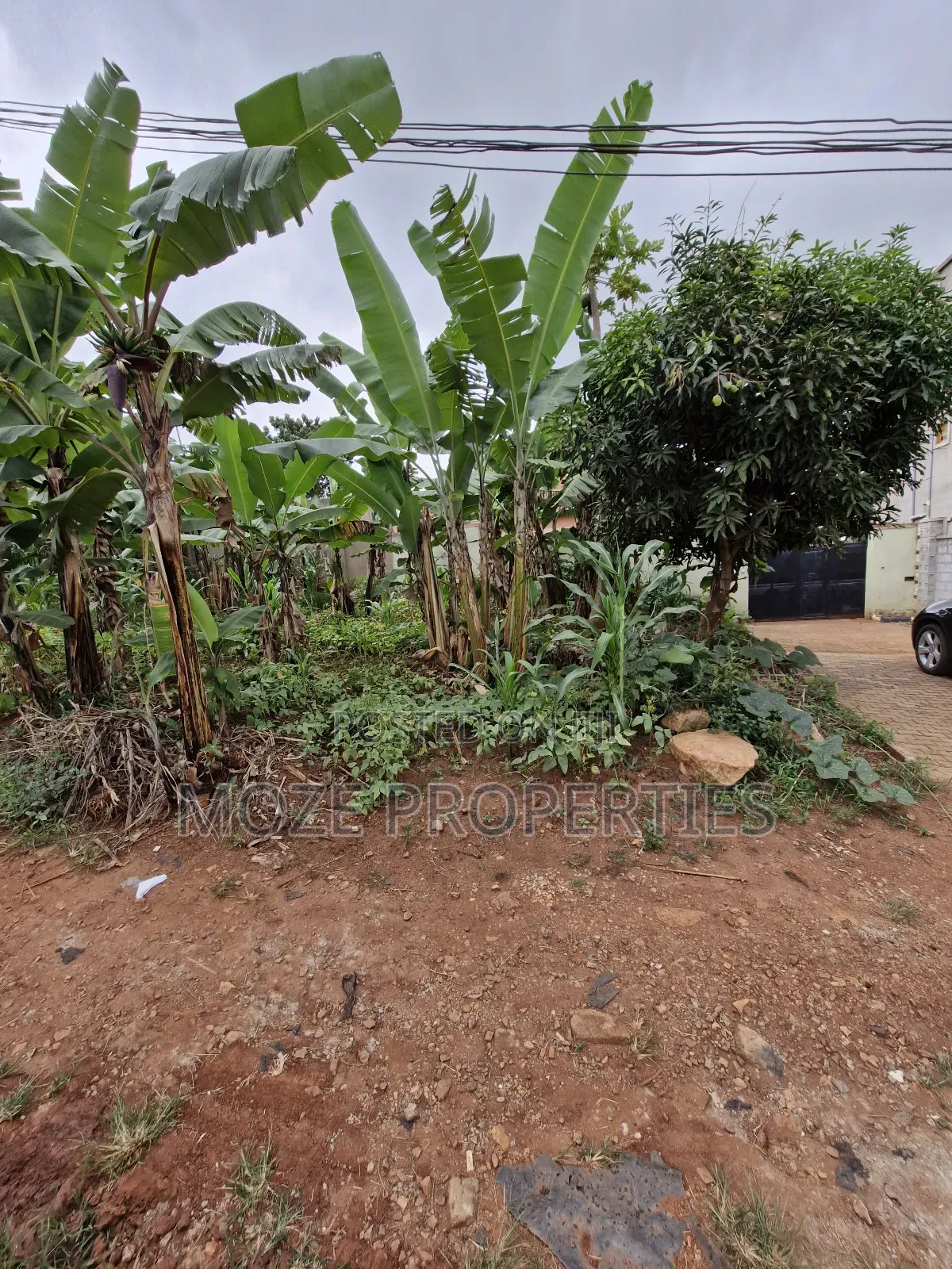 Sonde Hill View 50x70 Plot for Sale in Central Division